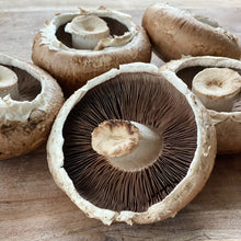 Load image into Gallery viewer, The Luxury Christmas Box