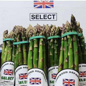fresh green bunches of asparagus