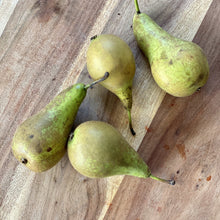 Load image into Gallery viewer, 4 conference pears on a wooden board
