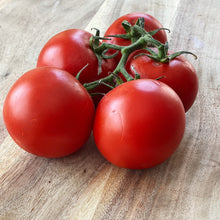 Load image into Gallery viewer, Tomatoes Vine
