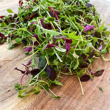 Load image into Gallery viewer, Micro Salad Leaf
