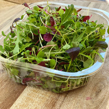 Load image into Gallery viewer, micro salad leaves in a punnet on a wooden board
