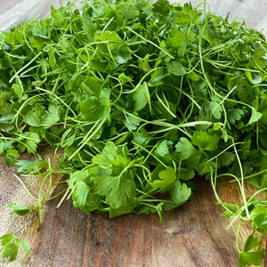 Micro Celery Leaf
