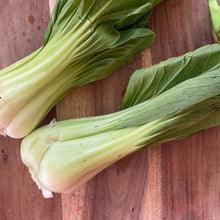 Load image into Gallery viewer, Pak Choi
