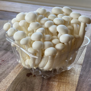 Mushroom White Beech