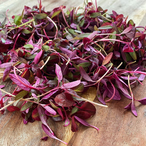 Micro Red Amaranth