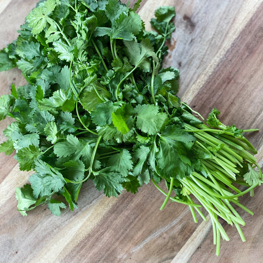 fresh coriander on a wooden board