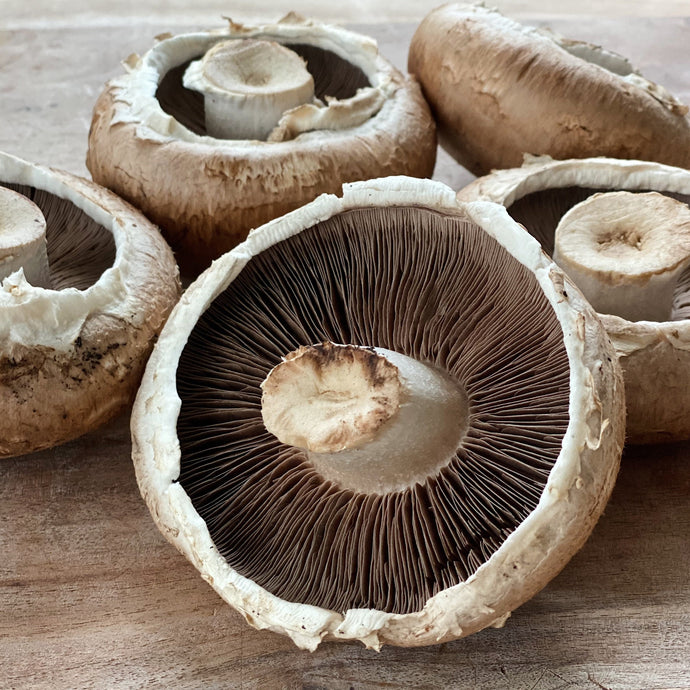 5 portabello mushrooms on a wooden board