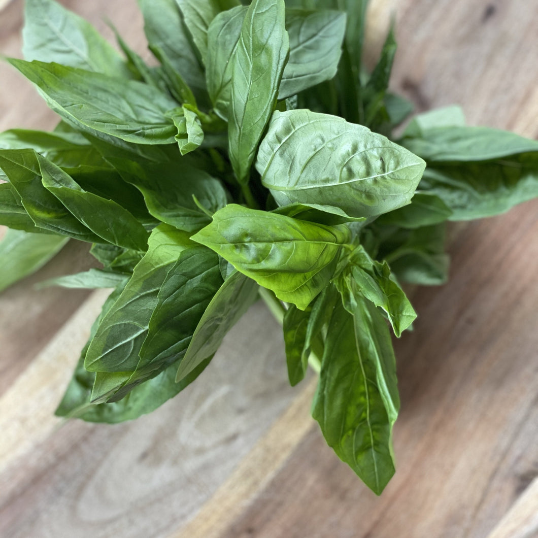 Basil Fresh