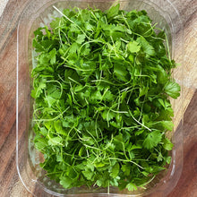 Load image into Gallery viewer, micro celery leaf in a plastic punnet on a wooden board
