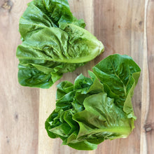 Load image into Gallery viewer, 2 little gem lettuces on a wooden board
