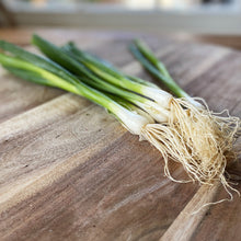 Load image into Gallery viewer, fresh green spring onions on a wooden board
