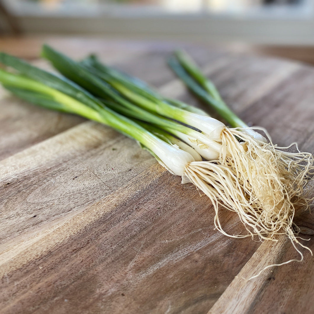 fresh green spring onions on a wooden board