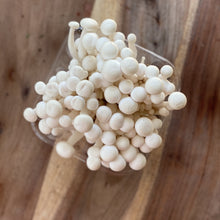 Load image into Gallery viewer, white beech mushrooms in a punnet on a wooden board
