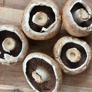 Mushroom Portabello