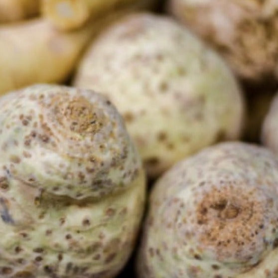 celeriac