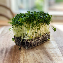 Load image into Gallery viewer, Cress Salad
