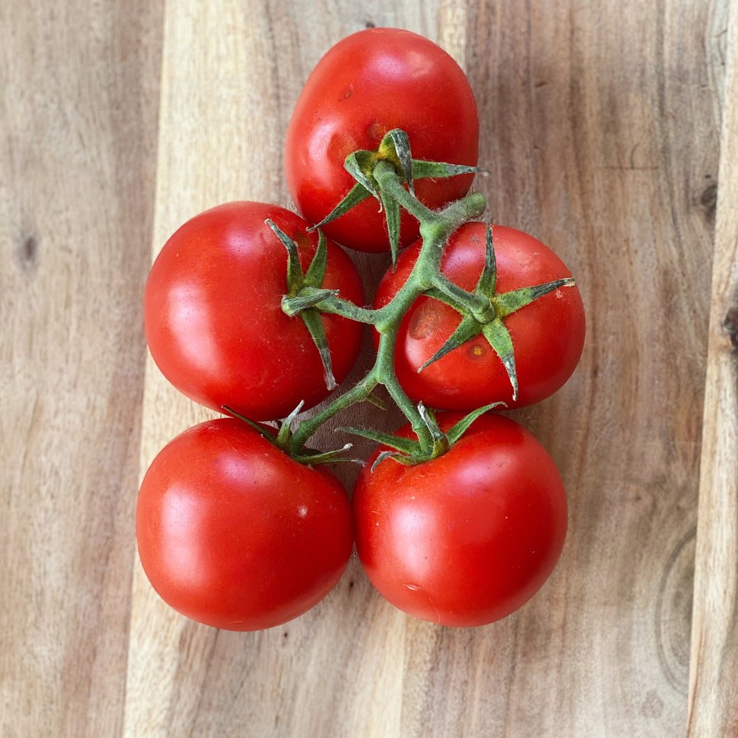 Tomatoes Vine