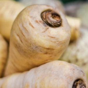 parsnips