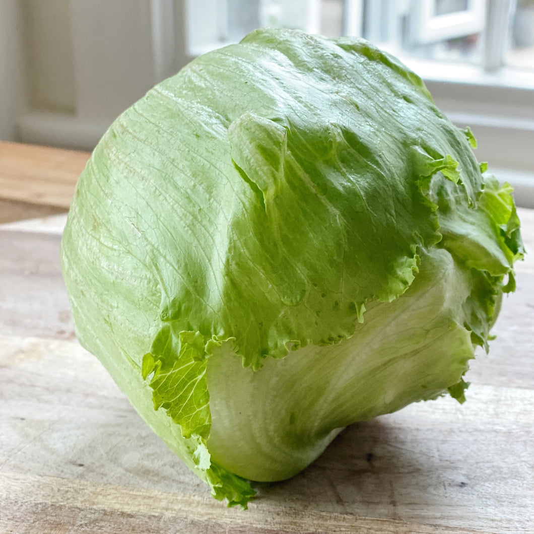 Lettuce Iceberg