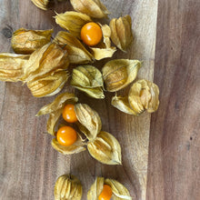 Load image into Gallery viewer, physalis on a wooden board 
