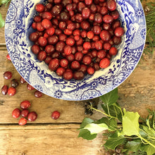 Load image into Gallery viewer, Fresh Cranberries in a blue and white bowl foliage
