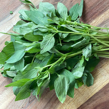 Load image into Gallery viewer, Basil Thai ( Asian )
