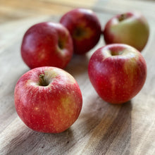 Load image into Gallery viewer, Apple Royal Gala
