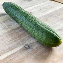 Load image into Gallery viewer, full sized cucumber on a wooden board
