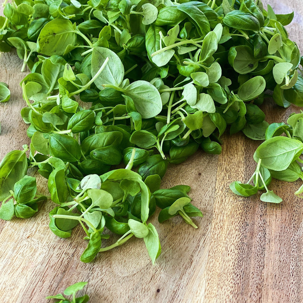fresh micro basil leaves on a wooden board