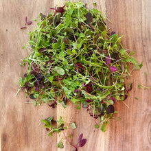 Load image into Gallery viewer, micro salad leaves on a wooden board
