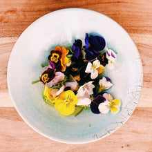 Load image into Gallery viewer, edible viola flowers in a pale blue bowl on a wooden board
