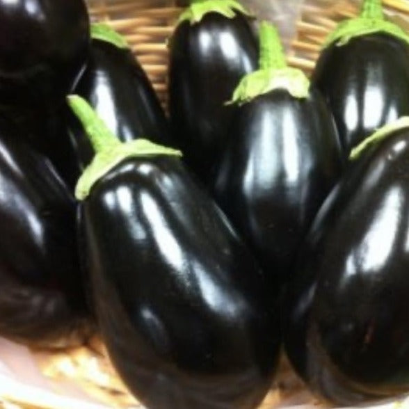 Glossy purple black aubergines