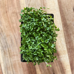 Cress Salad