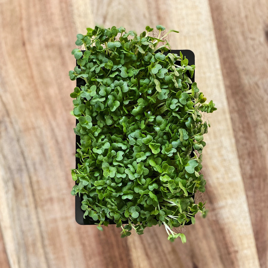 Cress Salad