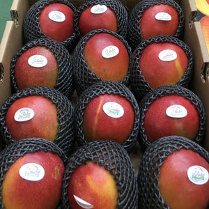 box of red mangos in packaging