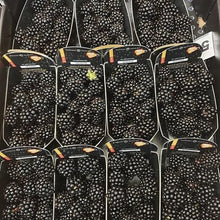 Load image into Gallery viewer, punnets of blackberries
