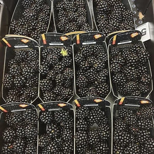 punnets of blackberries